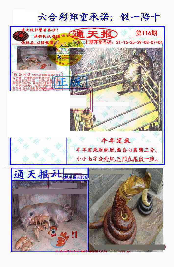 澳彩图库 2026 假一陪十通天报