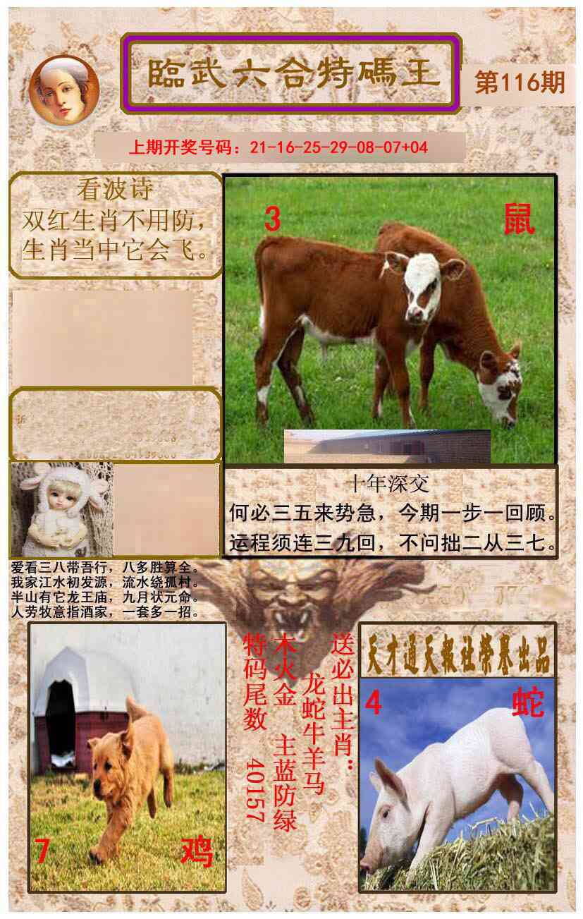 澳彩图库 2026 临武六合特码王